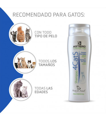 ARTERO CHAMPU 4CATS 250ML